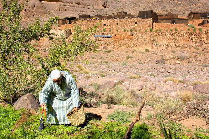 Ecolodge Ouednoujoum Ouarzazate Exteriör bild